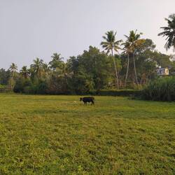 Morgentlicher Spaziergang