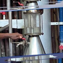 oil comes to the top!