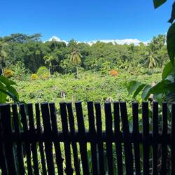 View from the Bathroom!