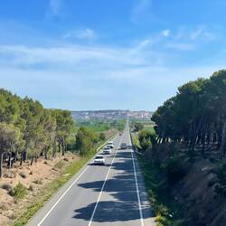 Goodbye Viana