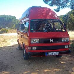 Stellplatz im Schatten am Strand von Cabo Roche