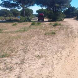 Liegt nett zwischen Strand und Straße