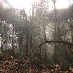 L'atmosphère est mystique