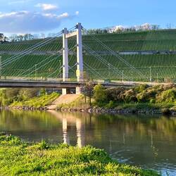 Was ich so krass finde ist, dass die Weinberge direkt am Stadtrand sind
