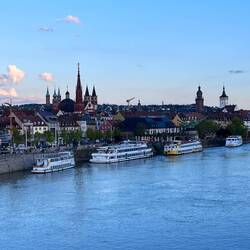 Man kann vom Wohnmobil Ausgleich super mit den Hunden am Main langlaufen