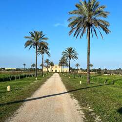 Angekommen ib unserer südlichsten Unterkunft.