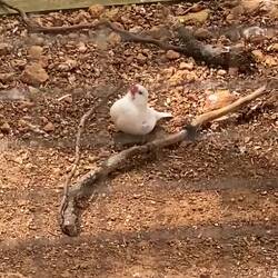 Keiner zu klein um ein grosser Arbeiter zu sein