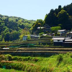 Ländliche Idylle unterwegs mit Reisterrassenfeldern