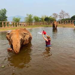I was the first human in the water for bath time