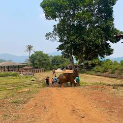 Arriving at the property, scratching an itch