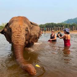 Fran was the only one who joined me in the fun