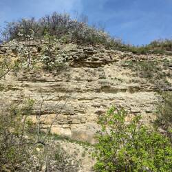 Muschelkalk am Geopfad