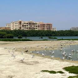 Man-made saltwater lake