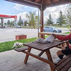 Mittagspause mit einem Gast