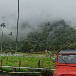 Mit den Jeeps fahren wir hier überall wie mit Bussen hin für 70ct