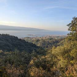 Messina harbour from above