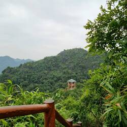 Im Nationalpark von Cat Ba