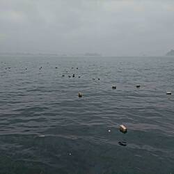 Leider hat es sehr viel Müll im Wasser 😔