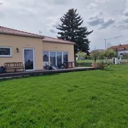 Unsere Bienchen sind sehr fleißig!