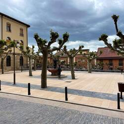 The square, totally shaded by leaves in summer!