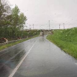 Emma wird gewaschen, längst überfällig 🌧️