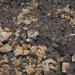 Alleen korstmossen kunnen overleven in de weidse lava velden