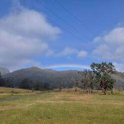 Réveil plus sympathique que la soirée et la nuit...