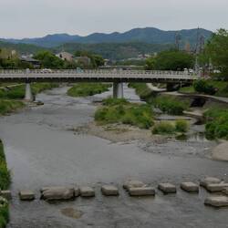 Schildkrötenüberweg in Kyoto