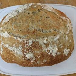 Frisch gebackenes Brot ♥️