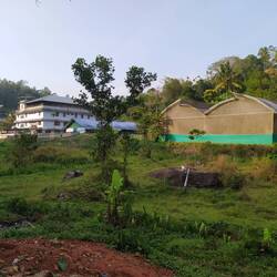 Little Flower Mercy Home 2023