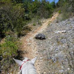 Unterwegs nach Chamula🏇