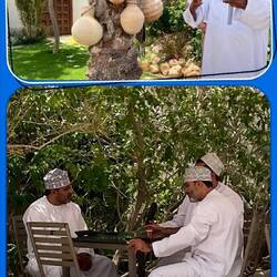 Keeping the water cool next to the trees