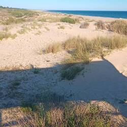 Am Ende der Holzpromenade ist dann Schluss mit dem Trubel, jeder wie er mag