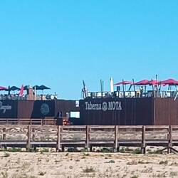 Wer geht mit mir was auf der Dachterrasse trinken?