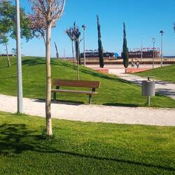 Grünanlage neben der Strandpromenade