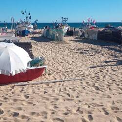 Bunte aktive Fischerboote, nett anzusehen