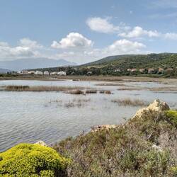 Glaubt es uns: hier sind Flamingos. 🦩🦩🦩
