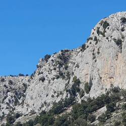 Monte Currasi, der Hausberg von Oliena