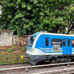 Treno #1 e magnolia gigante