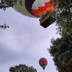 Musikalisches zMorge im Garten🥰
