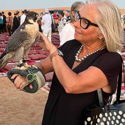 Me and the falcon