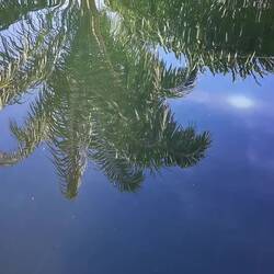 Koh Phangan Beach Resort