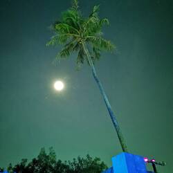 Bald Full Moon Party auf Koh Phangan 🌕