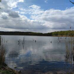 Holzweißiger Ostsee
