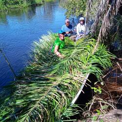 ein Boot voll Futter