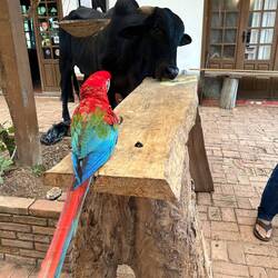 when someone steals your food