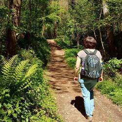 Wanderung durch das Biotop
