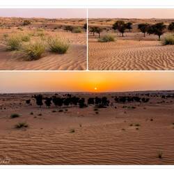 Sunset at the Dubai Desert Conservation Reserve — UAE.
