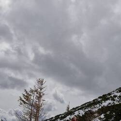 ...und über Schneefelder...