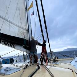 Quarantäneflagge und Tricolore werden gehisst